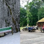Bolam Lake Country Park: Complete Visitor Guide to Walks, Wildlife and Things to Do