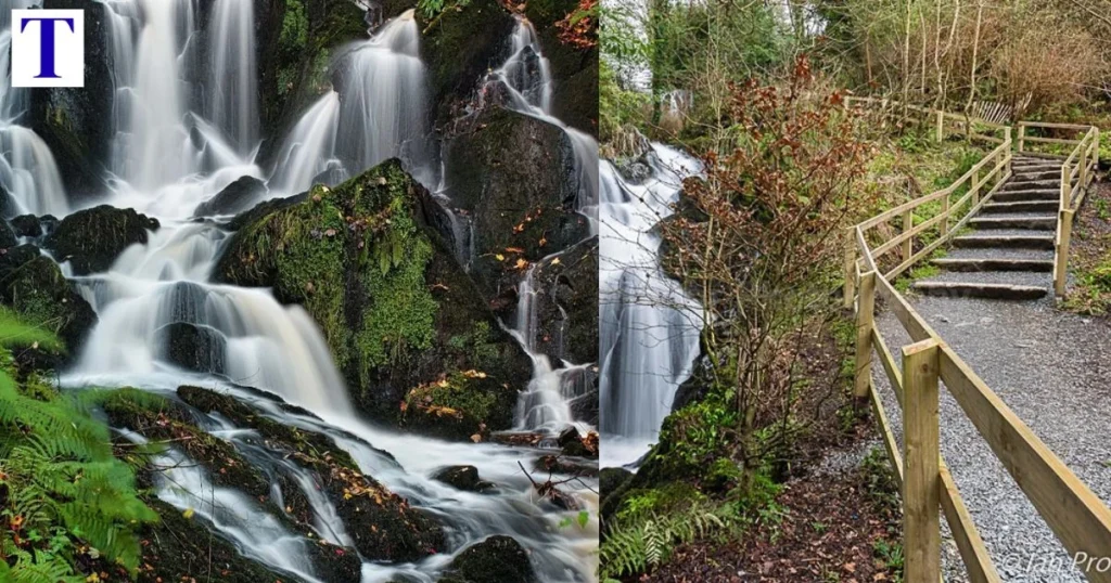 Crawfordsburn Country Park Complete Guide to Beaches, Walks and Wildlife