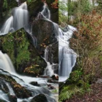 Crawfordsburn Country Park Complete Guide to Beaches, Walks and Wildlife