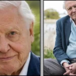 david attenborough net worth