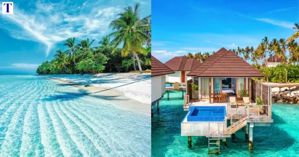 tui maldives