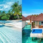 tui maldives